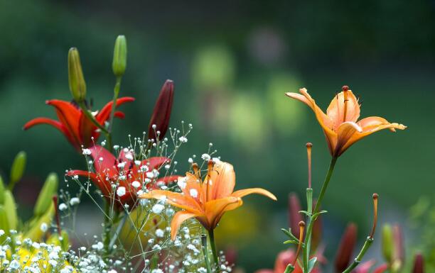 天然氣壓縮機(jī)